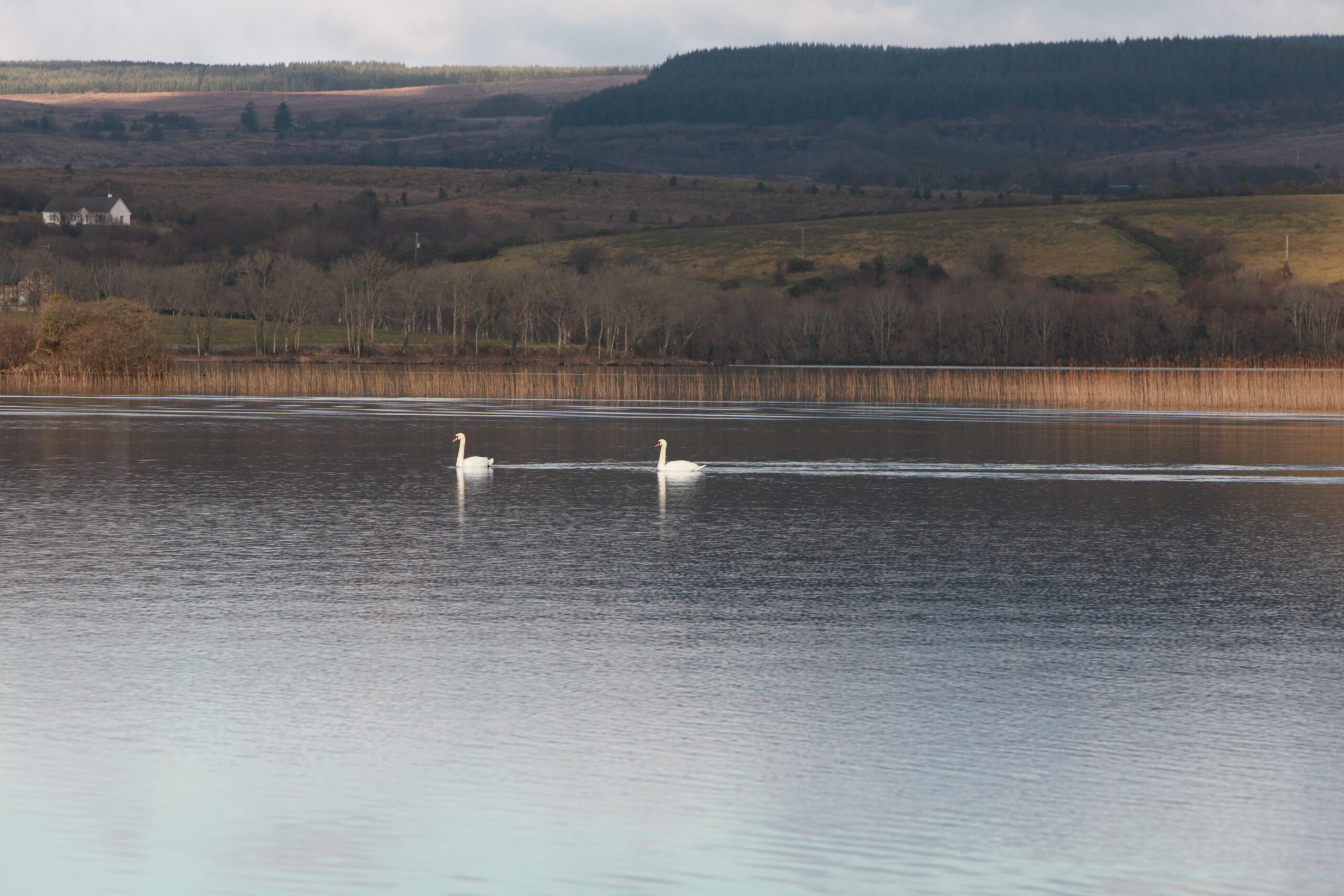 Lough McNean Glenfarne Woods